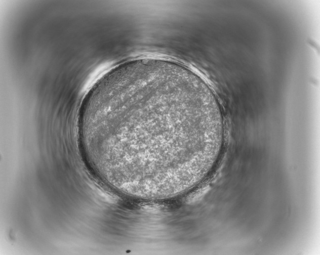 X0000093430199200711021041