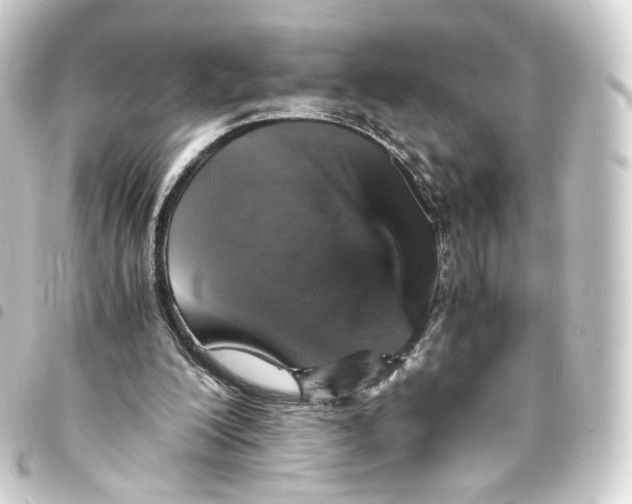 X0000093430200200711021041