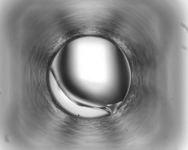 X0000093430201200711021041