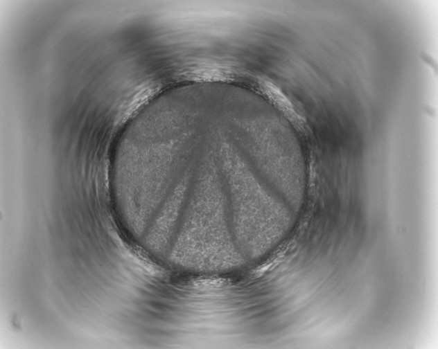 X0000093430202200711021041