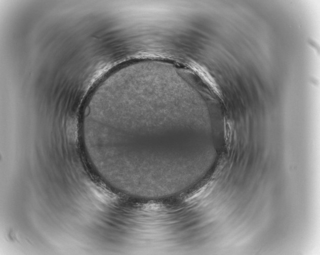 X0000093430204200711021041