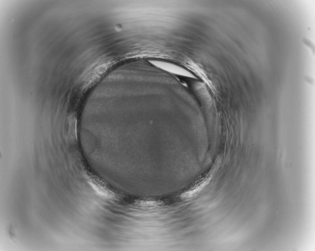 X0000093430205200711021041