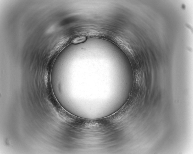 X0000093430206200711021041