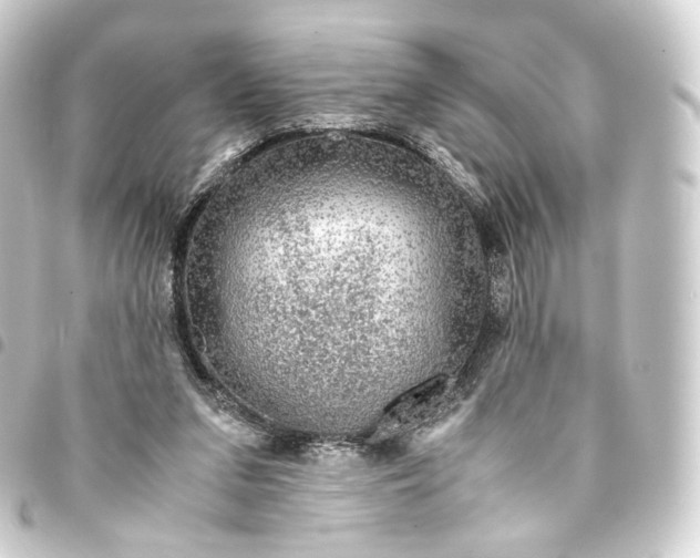 X0000093430207200711021041