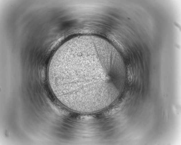 X0000093430208200711021041