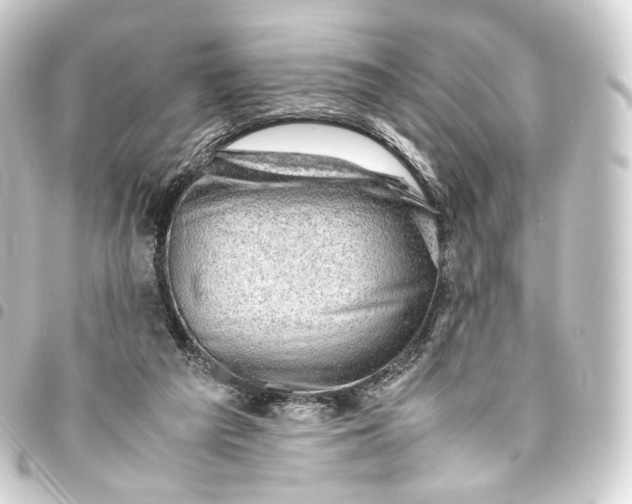 X0000093430209200711021041