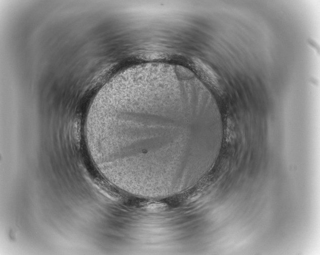 X0000093430210200711021041