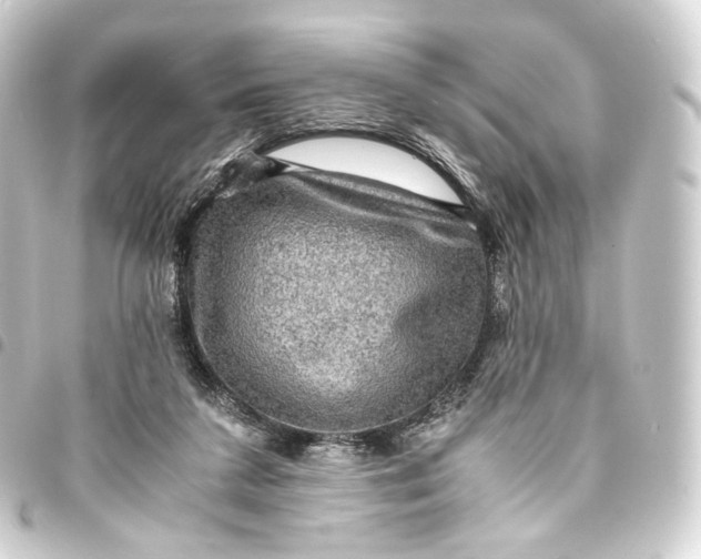 X0000093430211200711021041