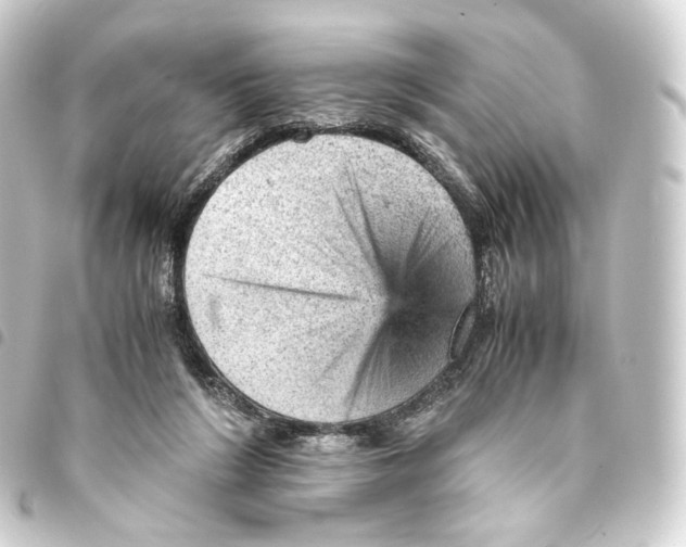 X0000093430212200711021041