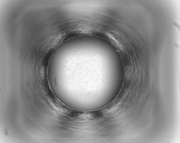 X0000093430213200711021041