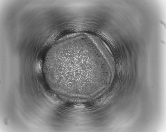 X0000093430214200711021041