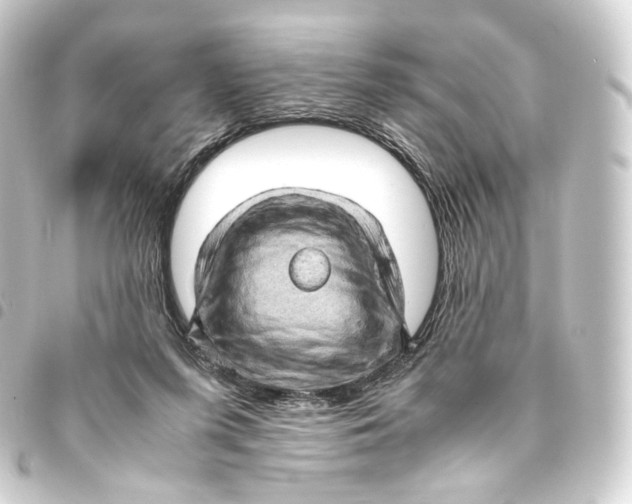 X0000093430215200711021041