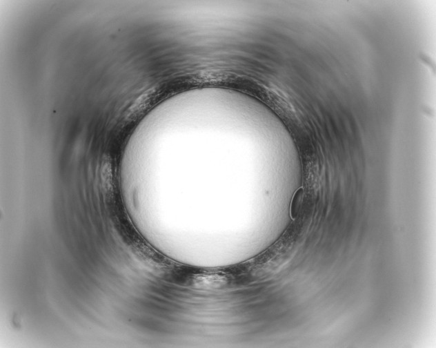 X0000093430220200711021041