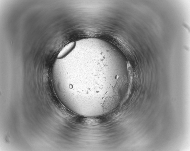 X0000093430221200711021041