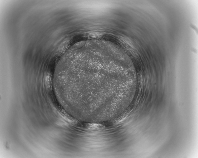 X0000093430222200711021041