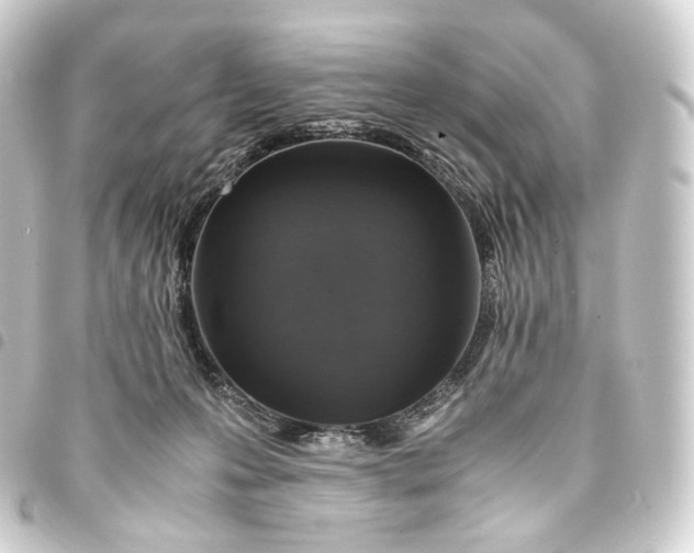 X0000093430223200711021041