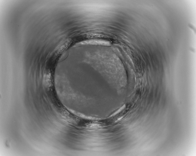 X0000093430224200711021041