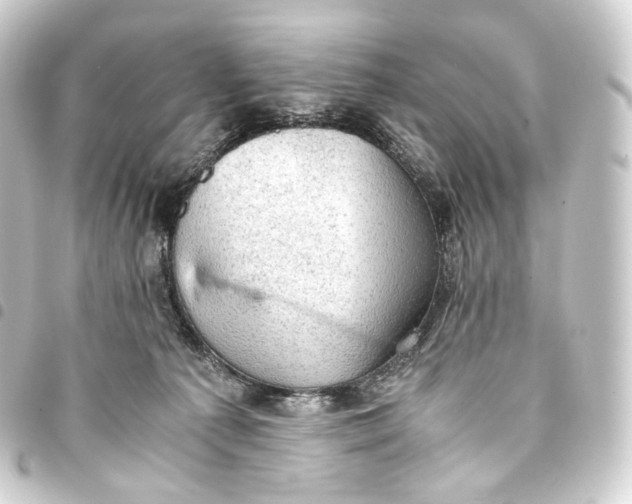 X0000093430225200711021041