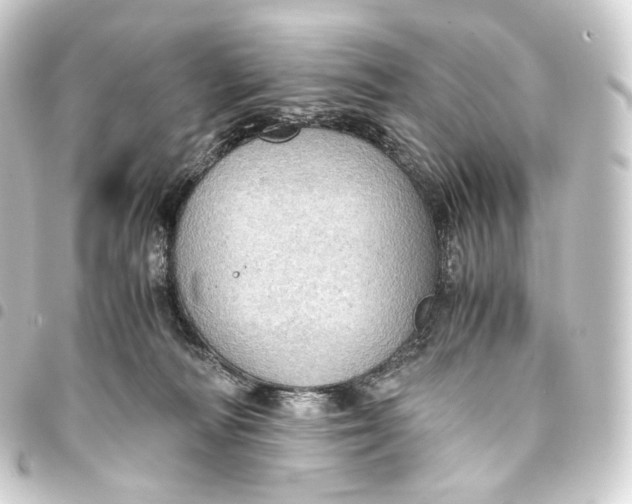 X0000093430226200711021041