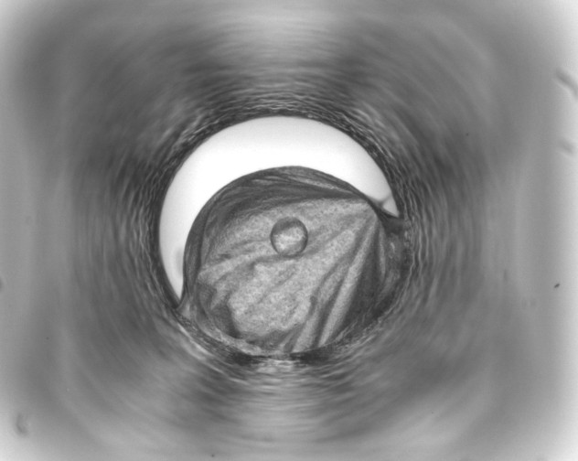 X0000093430227200711021041