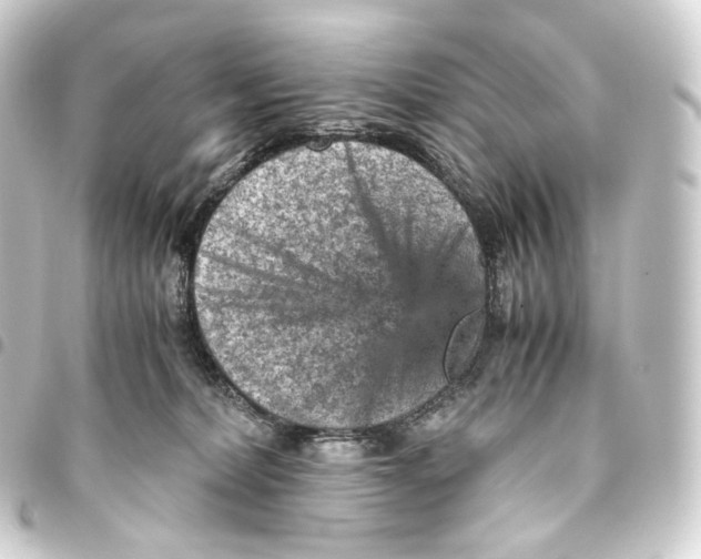 X0000093430228200711021041