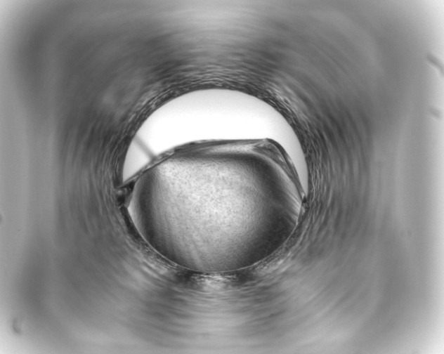 X0000093430229200711021041