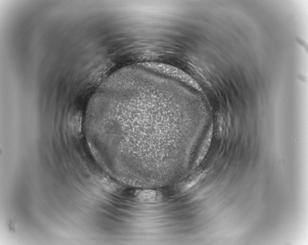 X0000093430230200711021041