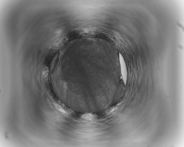 X0000093430231200711021041