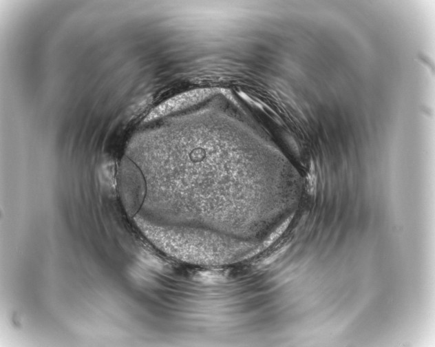 X0000093430232200711021041