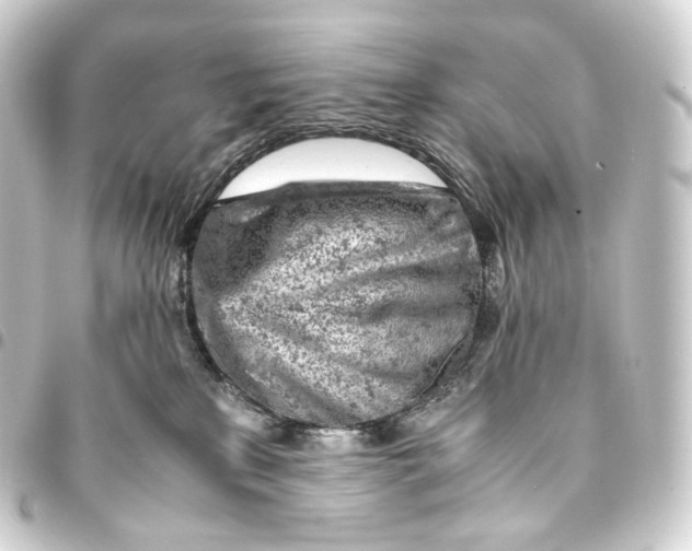 X0000093430233200711021041