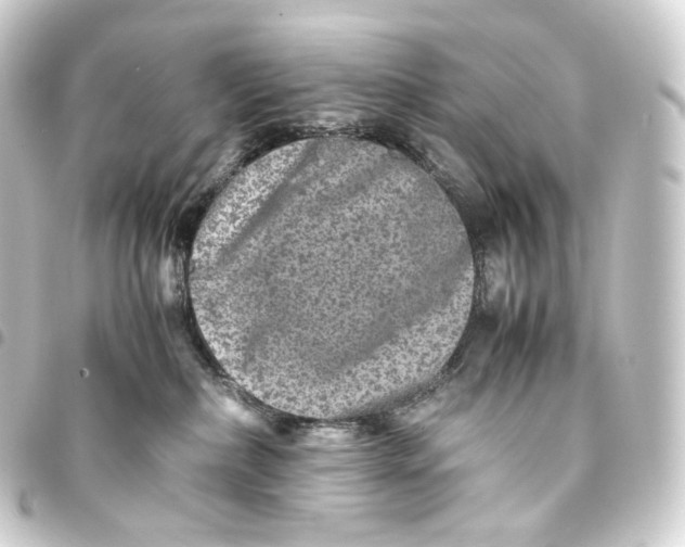 X0000093430236200711021041