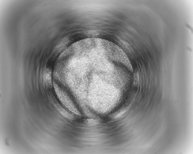 X0000093430238200711021041