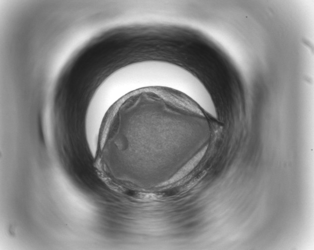 X0000093430239200711021041