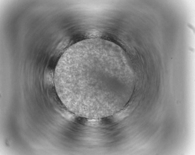 X0000093430240200711021041