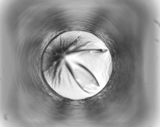 X0000093430241200711021040