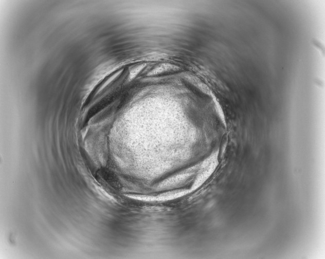 X0000093430242200711021040