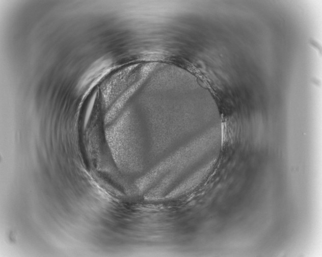 X0000093430243200711021040