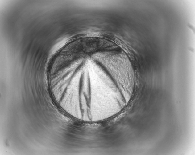 X0000093430245200711021040