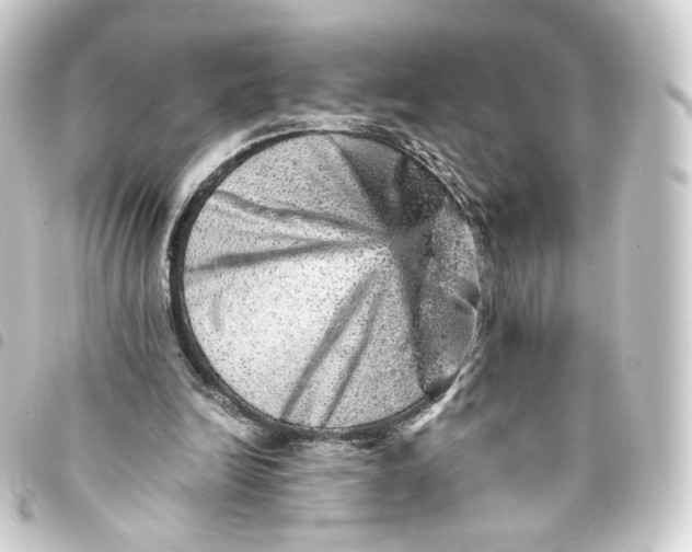 X0000093430246200711021040