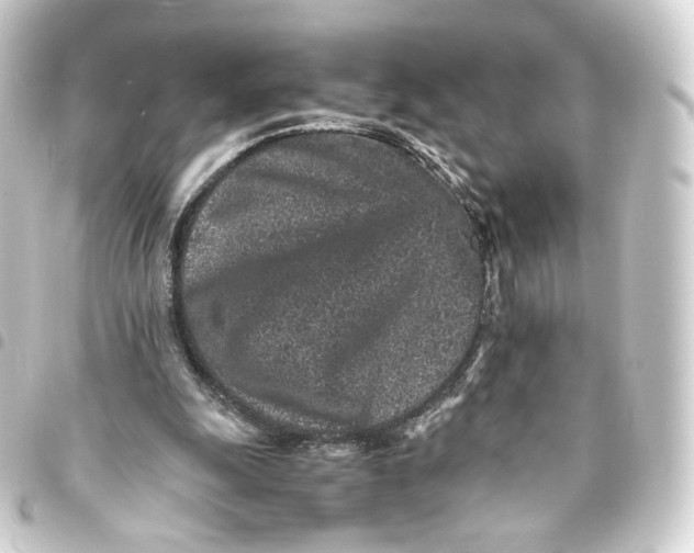 X0000093430247200711021040