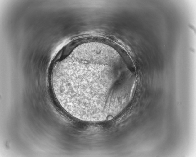 X0000093430248200711021040