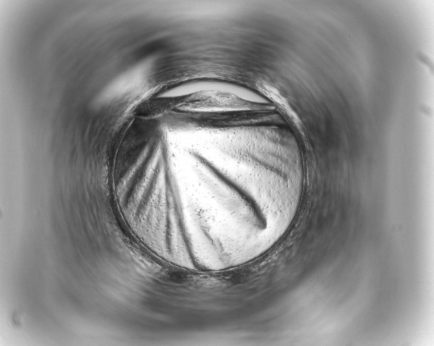 X0000093430249200711021040