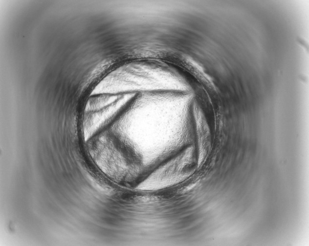 X0000093430250200711021040