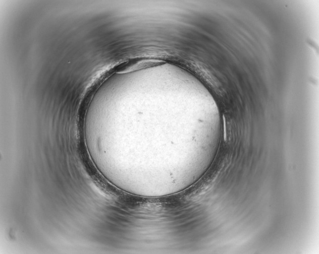 X0000093430252200711021040