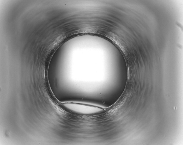 X0000093430253200711021040