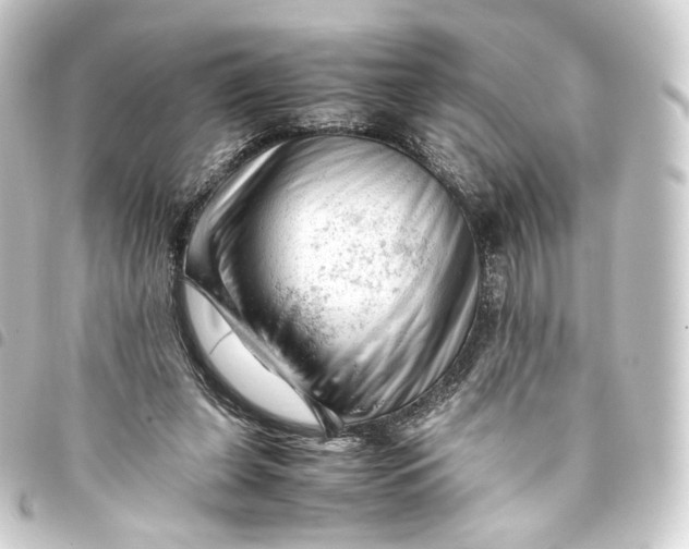 X0000093430255200711021040