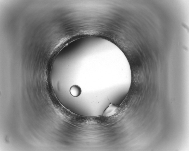 X0000093430256200711021040