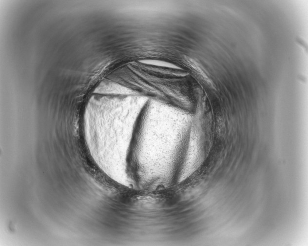 X0000093430259200711021040