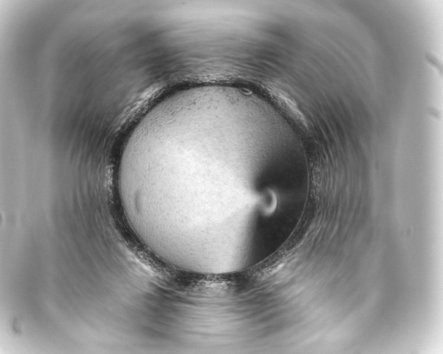 X0000093430260200711021040