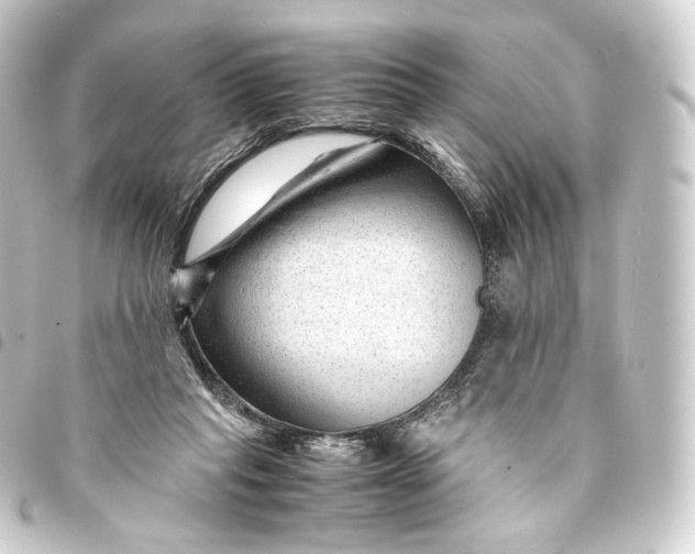 X0000093430261200711021040